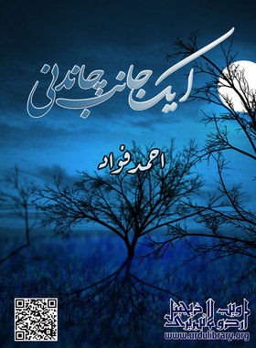 Aik Jaanib Chaandni